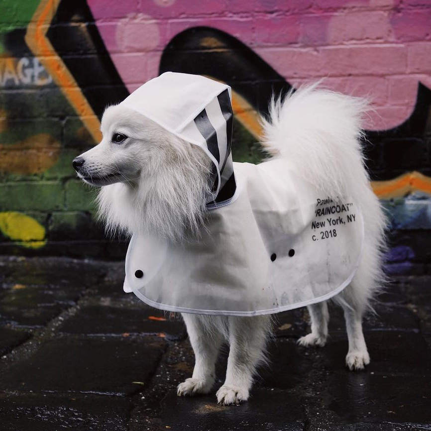 67478533_655623358258185_19908