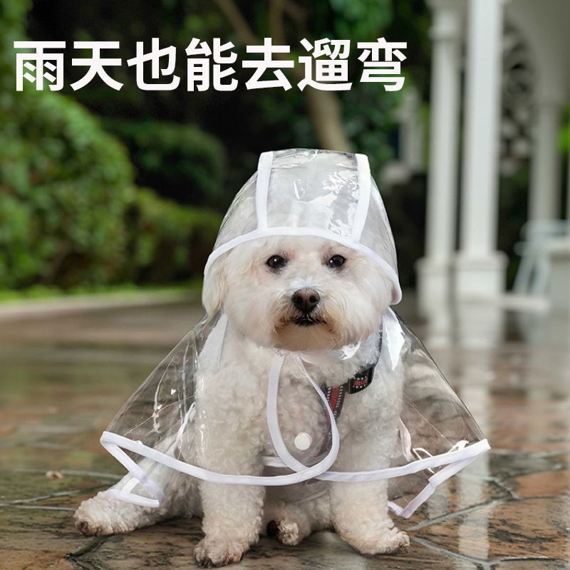 b0d87f8c-1076-47c5-9a62-9a714f3e9164.jpe