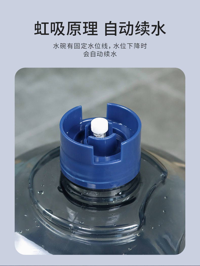 b1b33156-9345-415f-8dd9-e6af00628d61.jpe