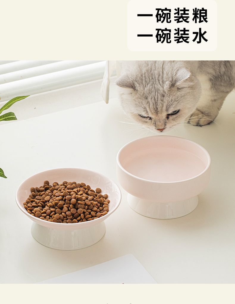 6e3c45de-8136-4d84-8517-8f5d8fce6681.jpe