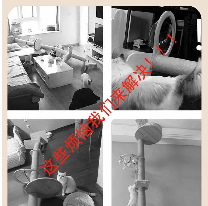 6c3d4b73-a864-4f98-af42-5790cbfc1373.jpe