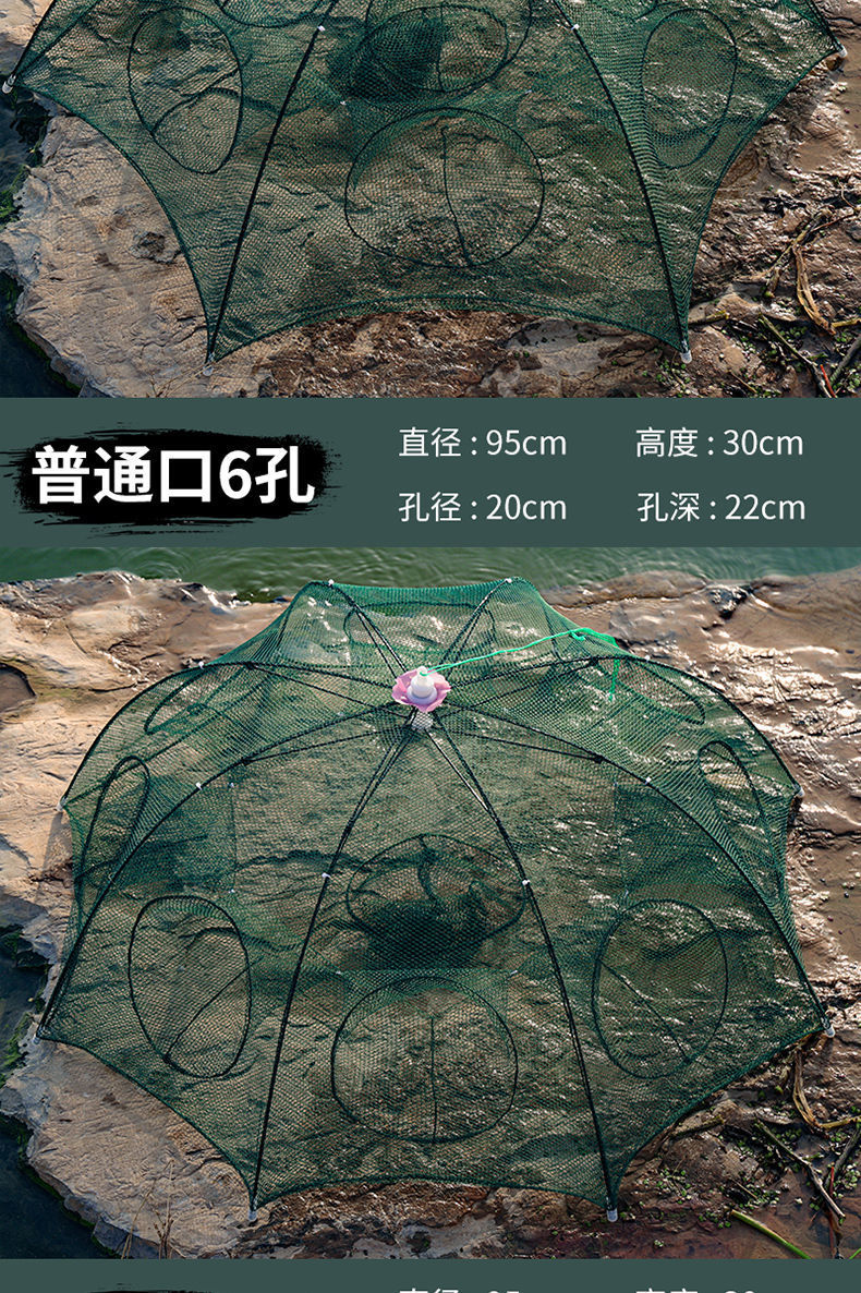 8e863d12-53a1-48f3-bb90-8682e7f7af28.jpe