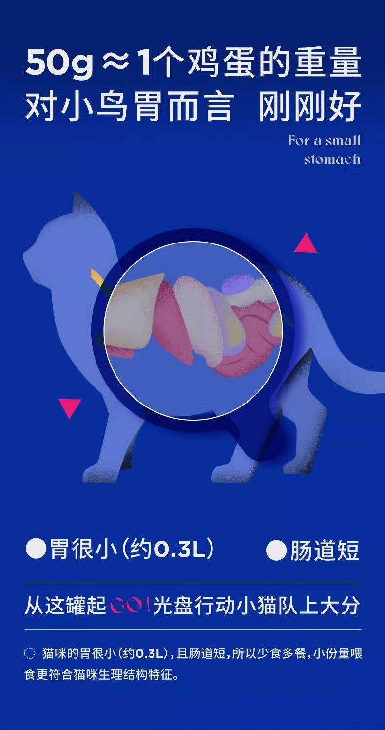 5835b5e5-a8e8-487c-aea3-6e4e4f9ea355.jpe