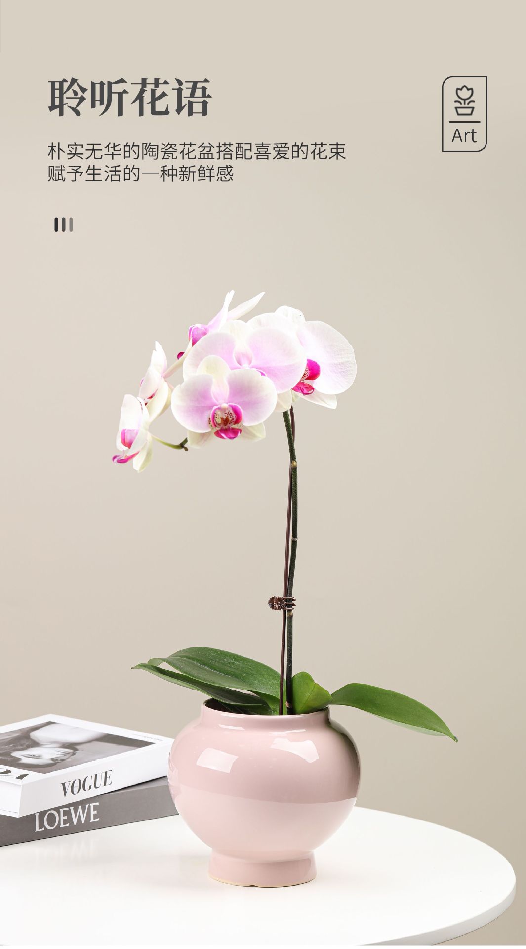 花盆8大图 (1).jpg