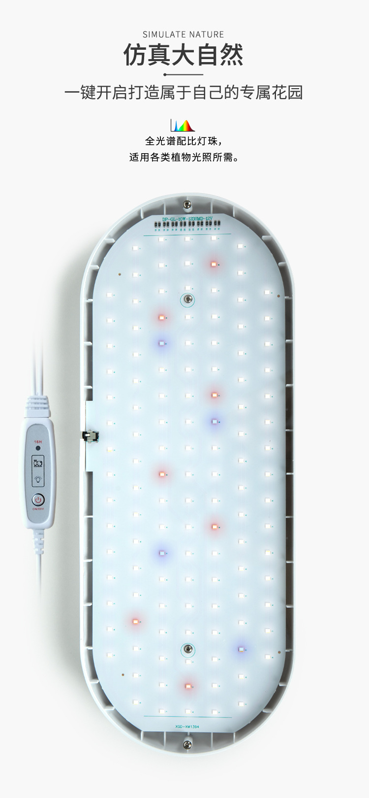 描述图_6.jpg