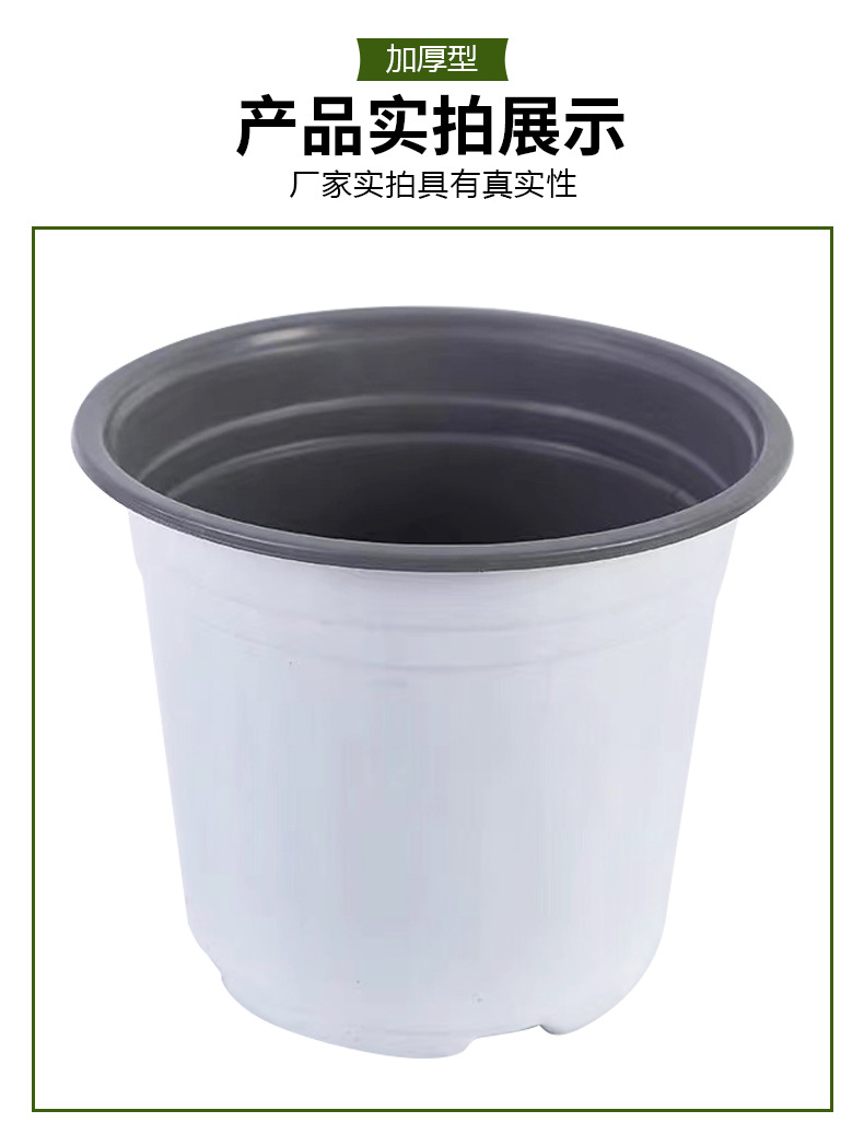 详情_09.jpg