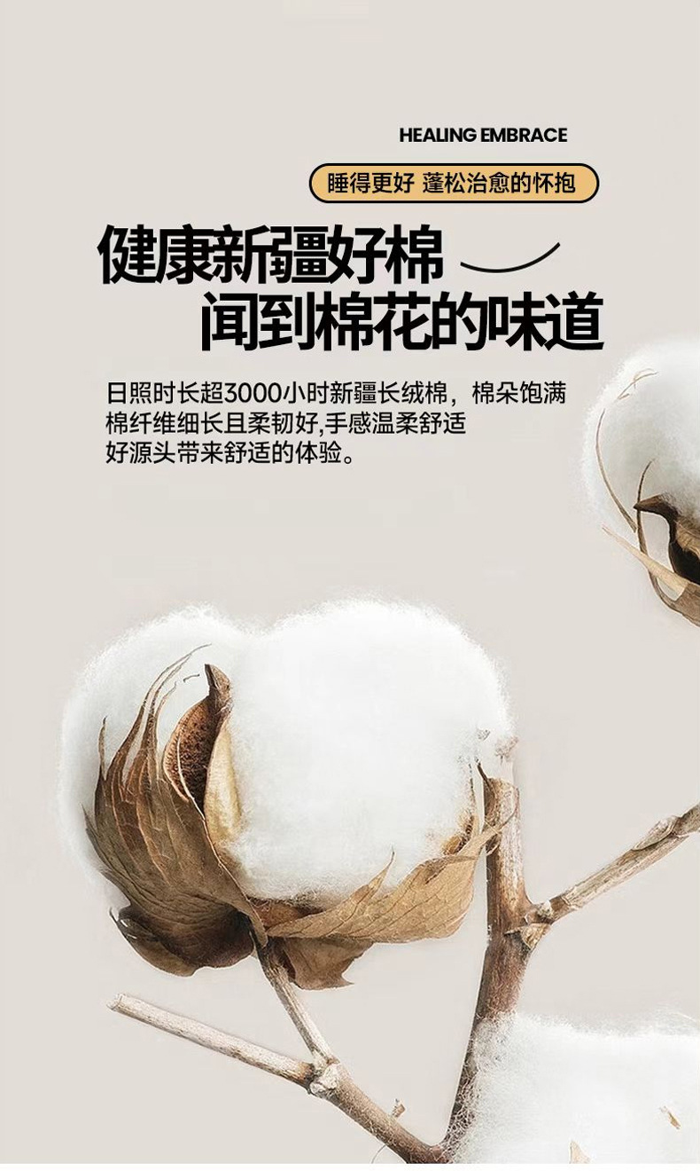 86770b8b-4a73-4808-b49b-72945be6eea42025