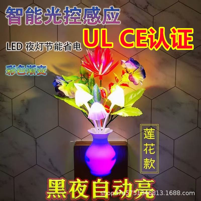 微信图片_20241225014107