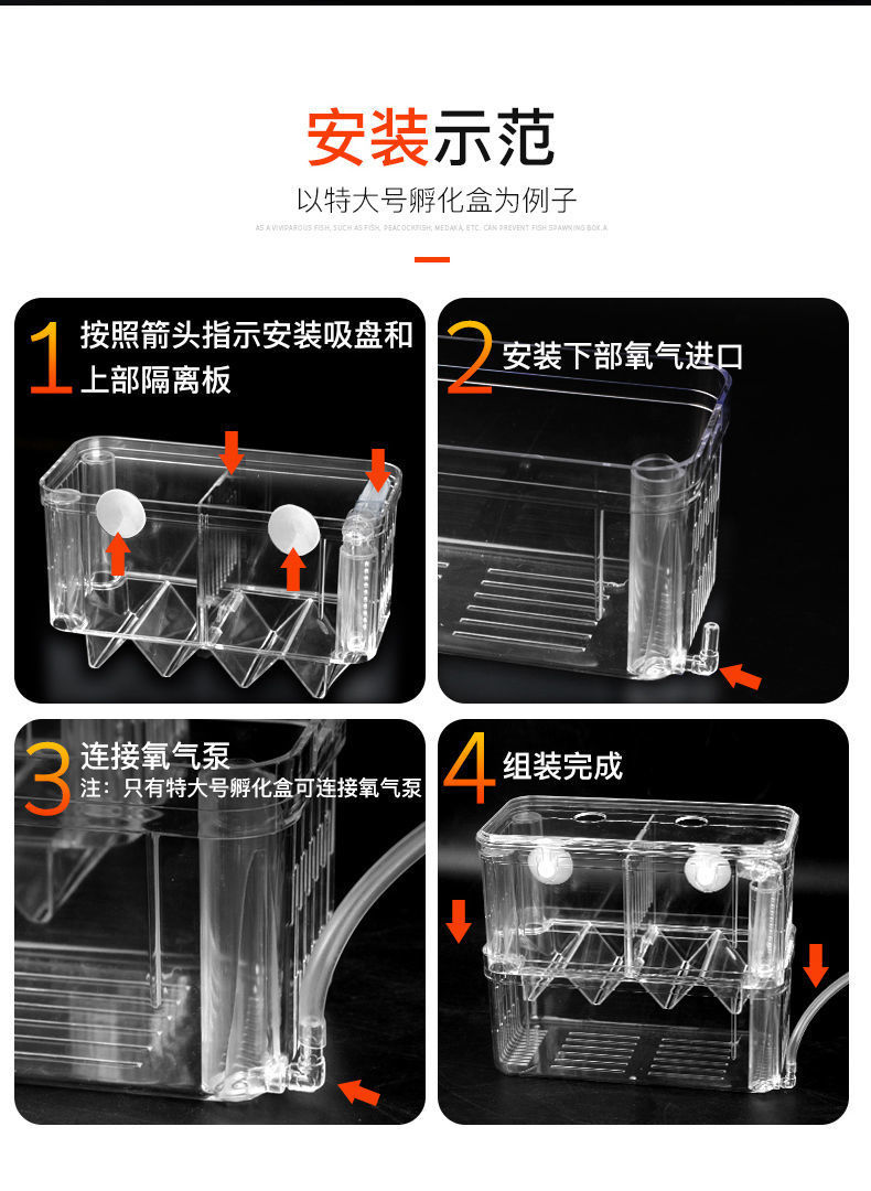 70da3629-7e6e-46ce-8ffc-110ebd8fcf02.jpe