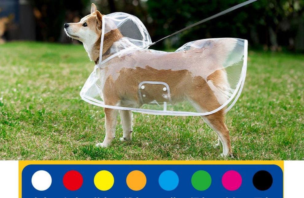 d5fb740b-59ff-470c-8641-1a1432f49d76.jpe