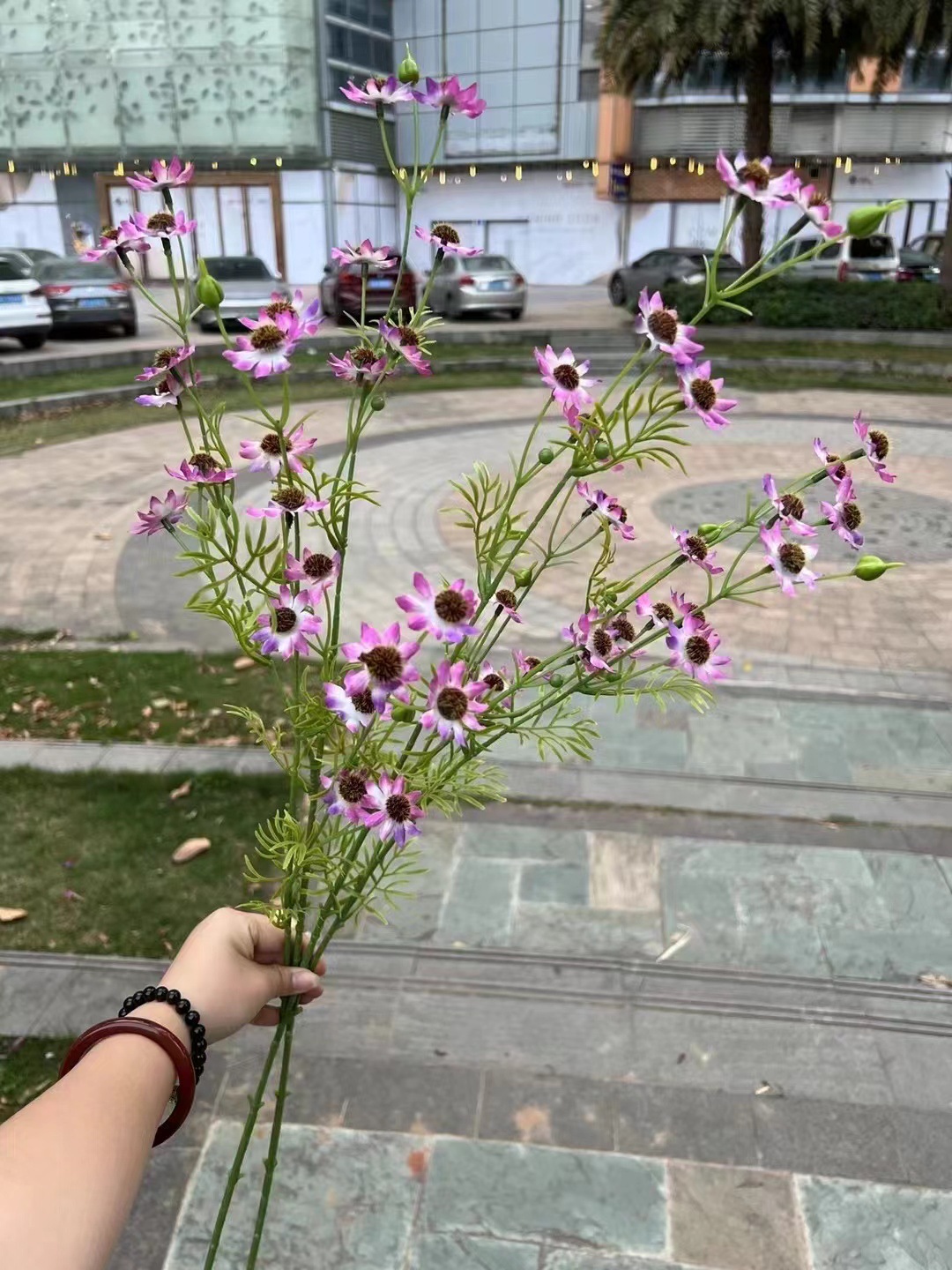 微信图片_20240705180409