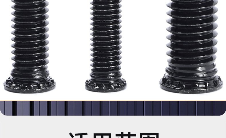 氧化发黑压铆螺丝_03_20.jpg