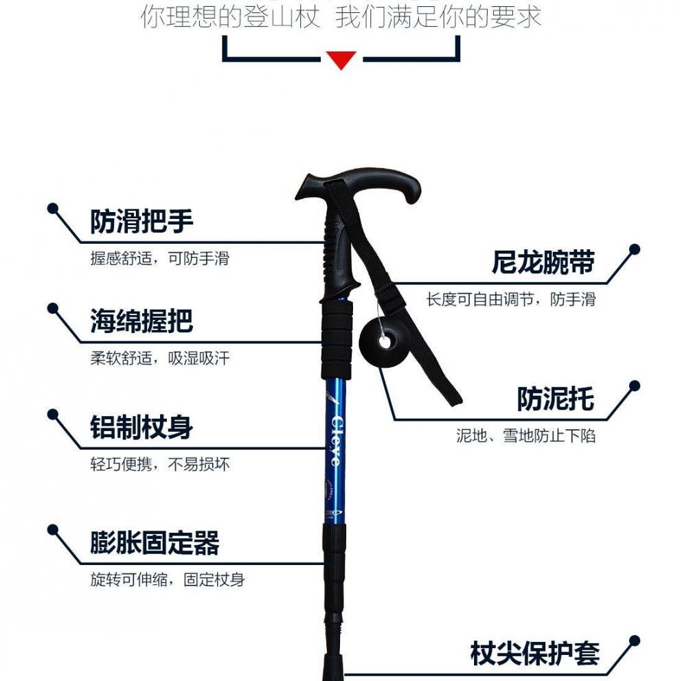 c51b0e56-d85a-4a5c-8a9d-6c3c70859bd6.jpe