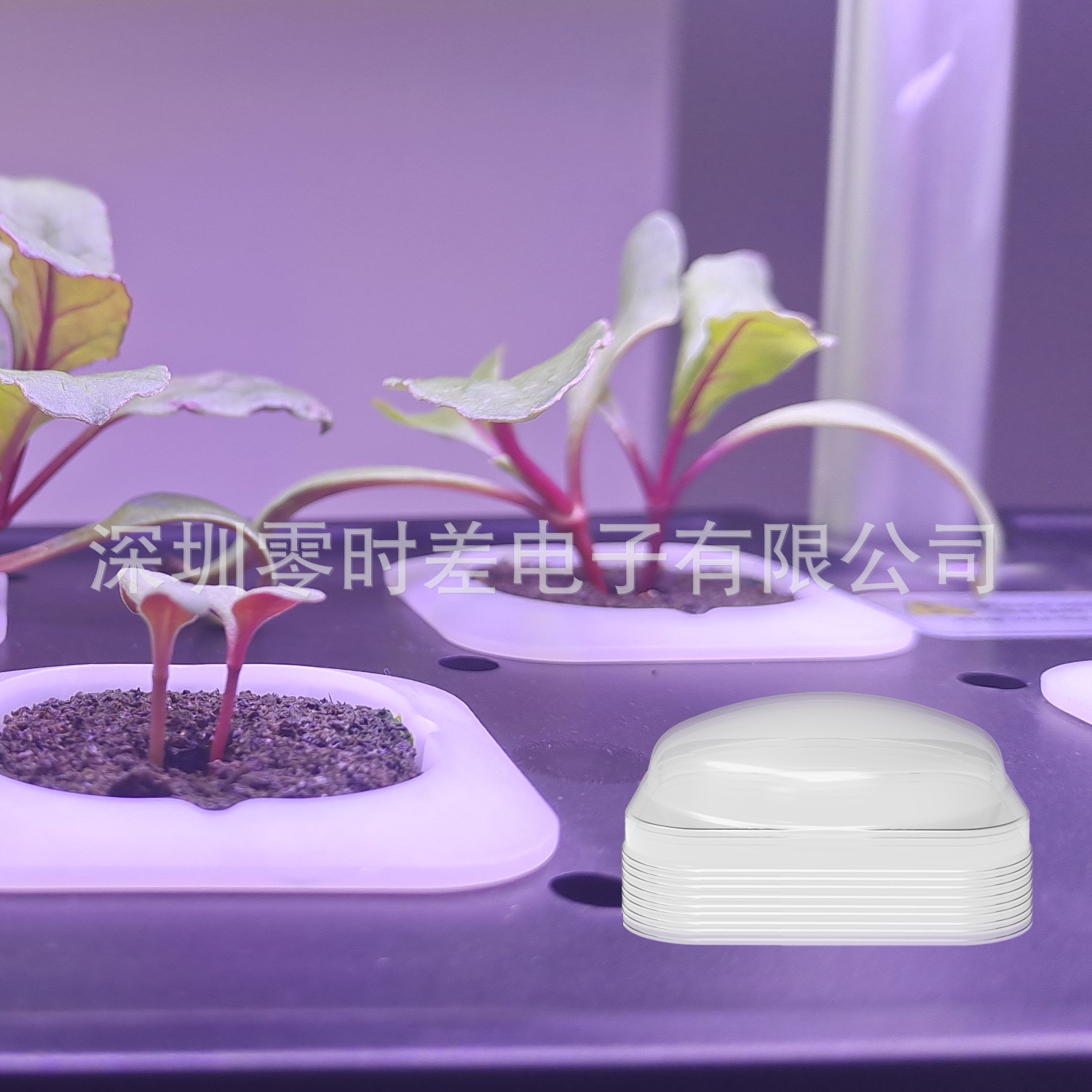 IGS 标准方形发芽罩