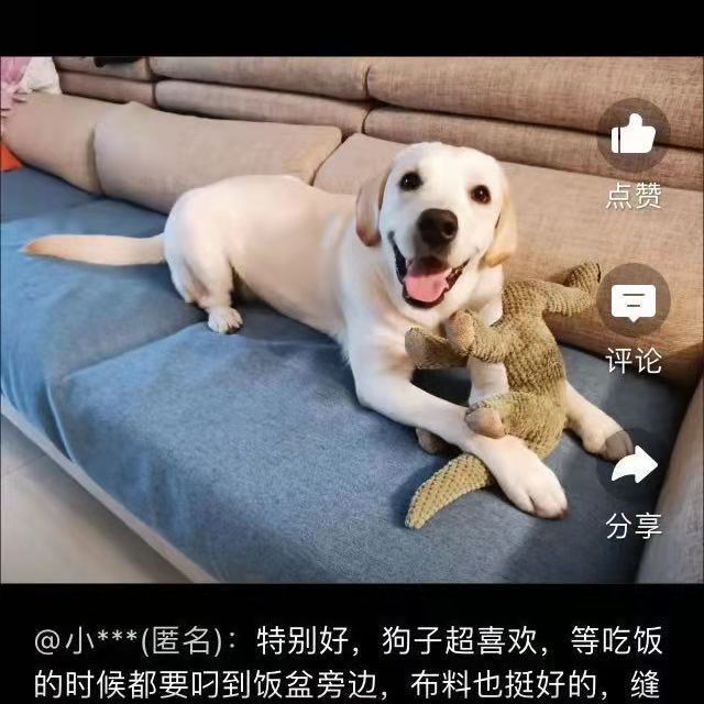 微信图片_20210716103055