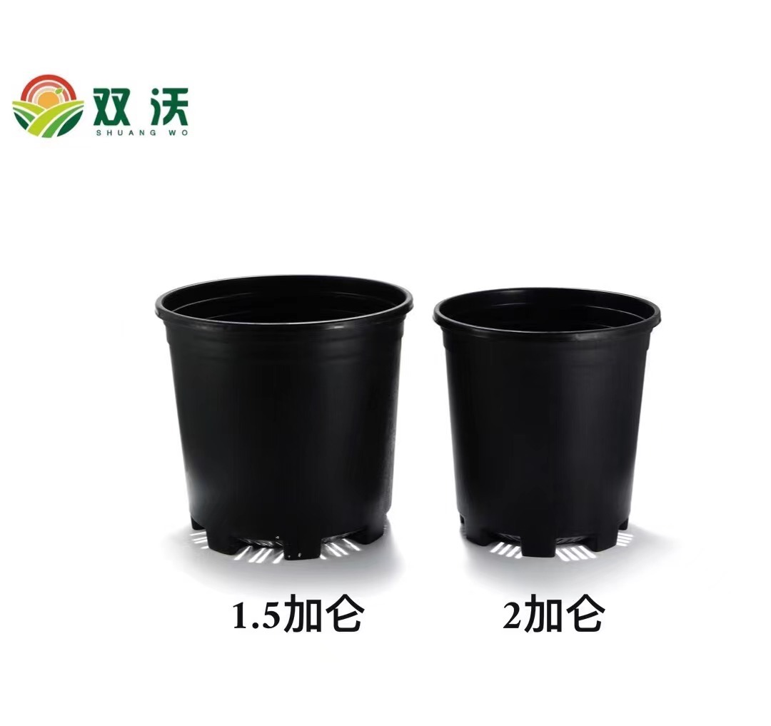 加仑2