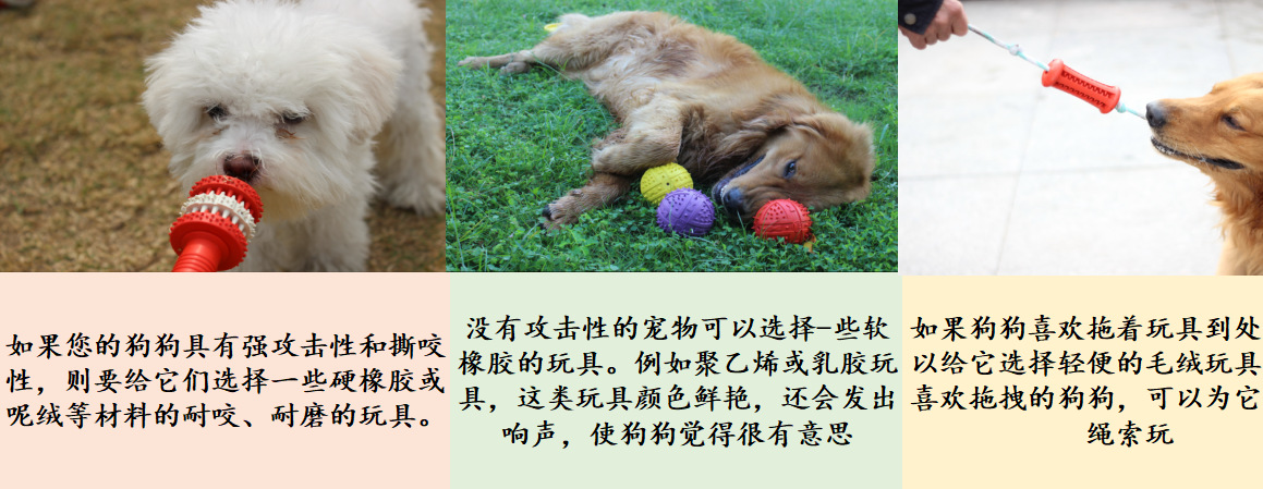 微信图片_202304120909401