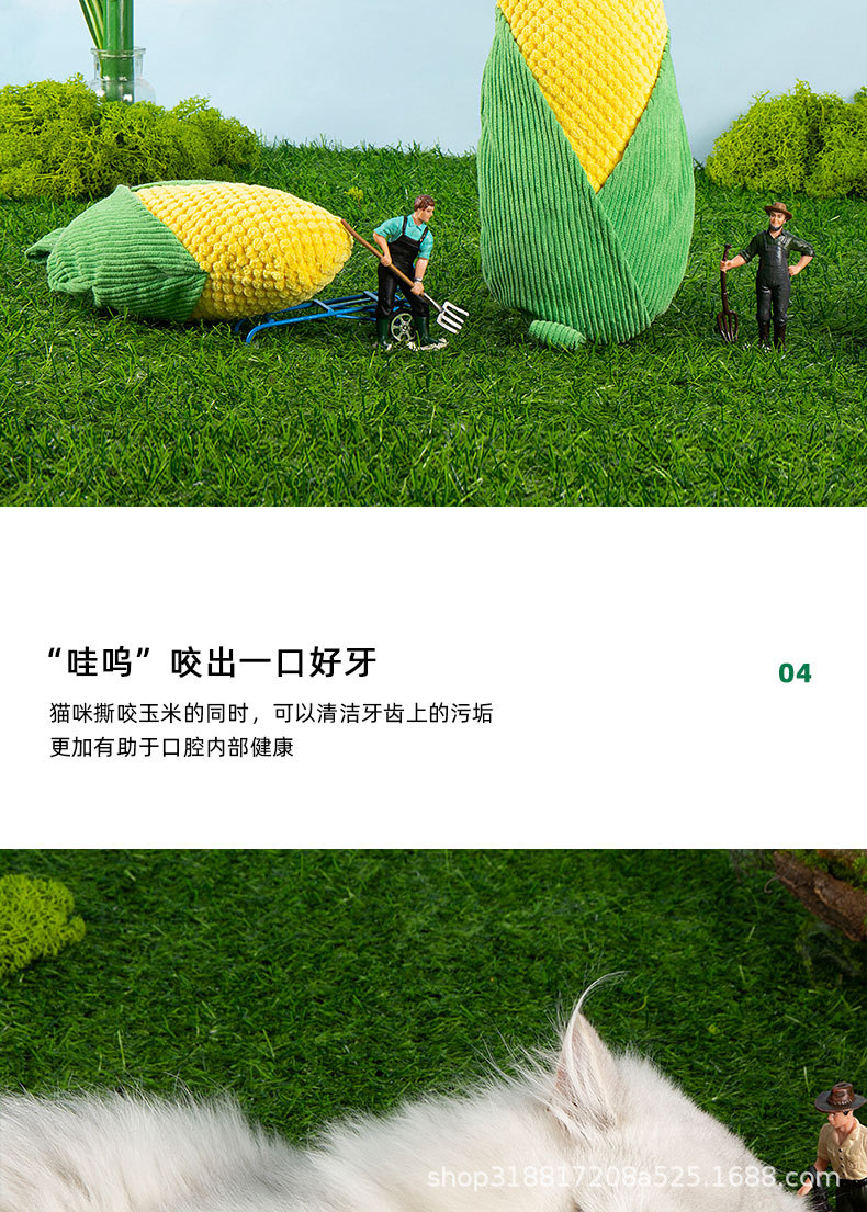未标题-1_07.jpg