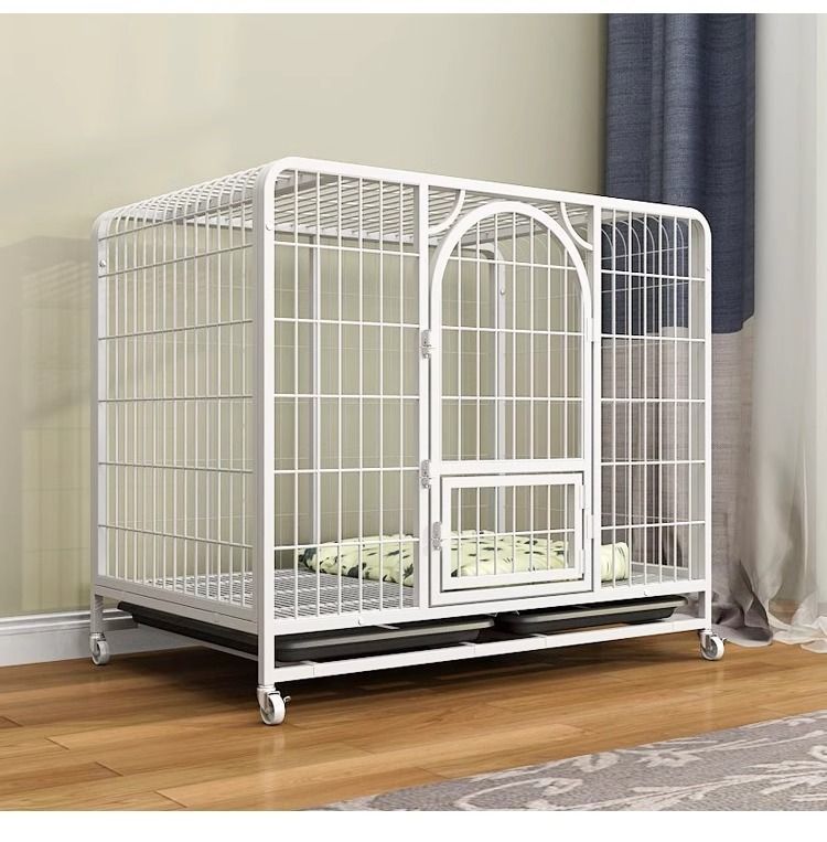 38b800a5-d978-4076-bcb9-2c84b569af4e.jpe