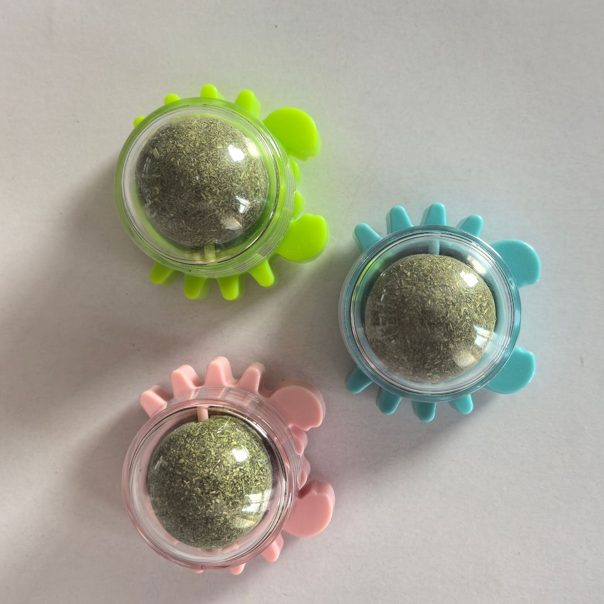 微信图片_20250226094028