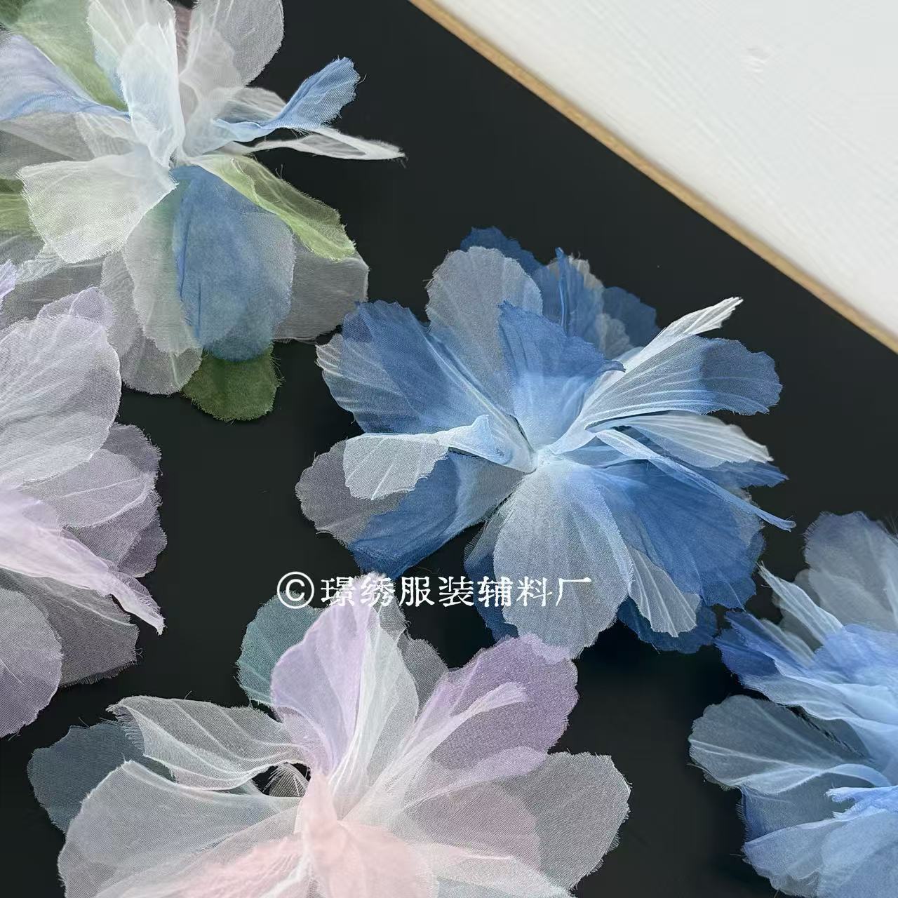 微信图片_20250909145529_39_2