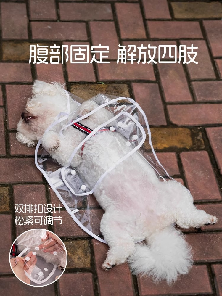 b4f73417-a737-438d-8e2b-cb0efc88c4f8.jpe