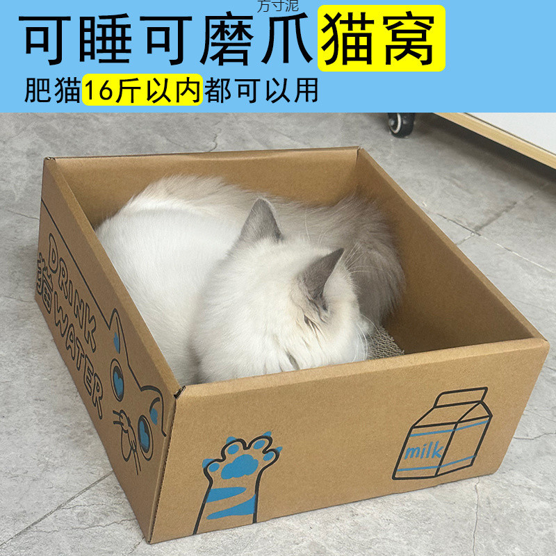 c138dc43-95aa-4057-963c-62223b6880a8.jpe