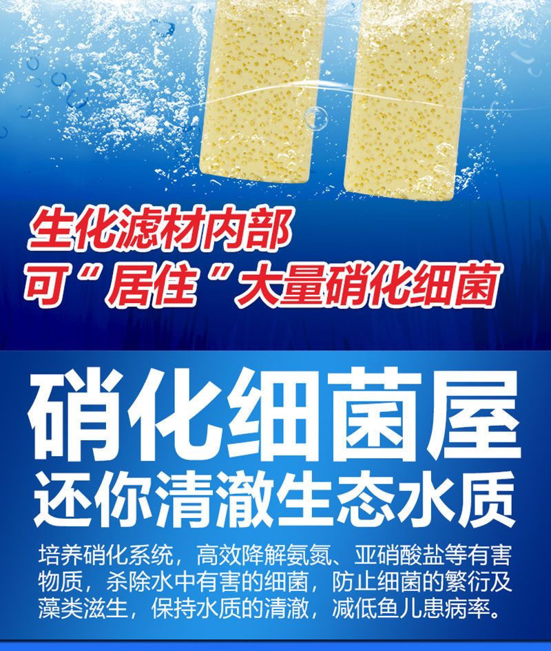 a9870f33-f8de-4391-ac7b-e8cd19696d9e.jpe