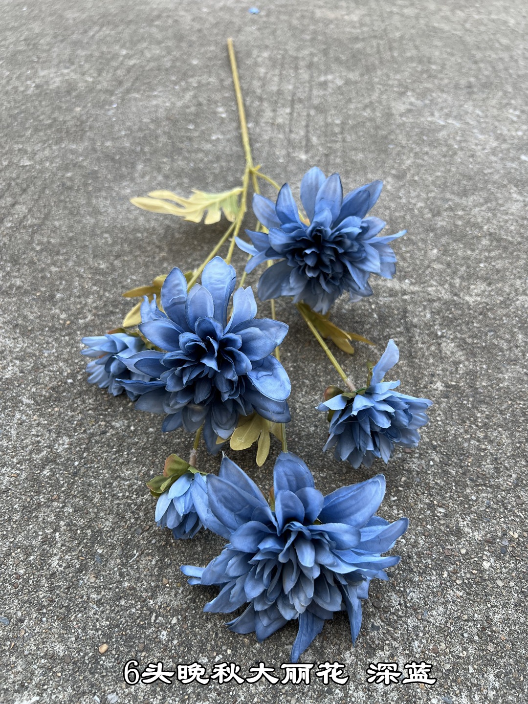 微信图片_20230506093707_副本