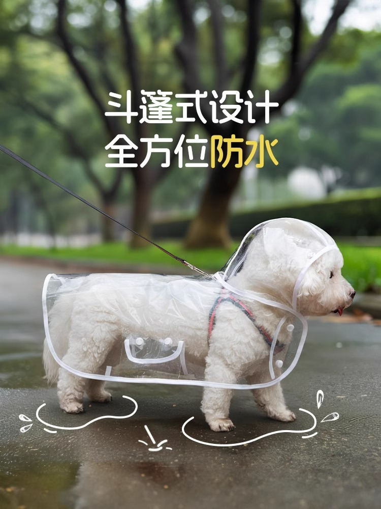 3b3ad14b-58e8-4c31-b951-a49f50502984.jpe