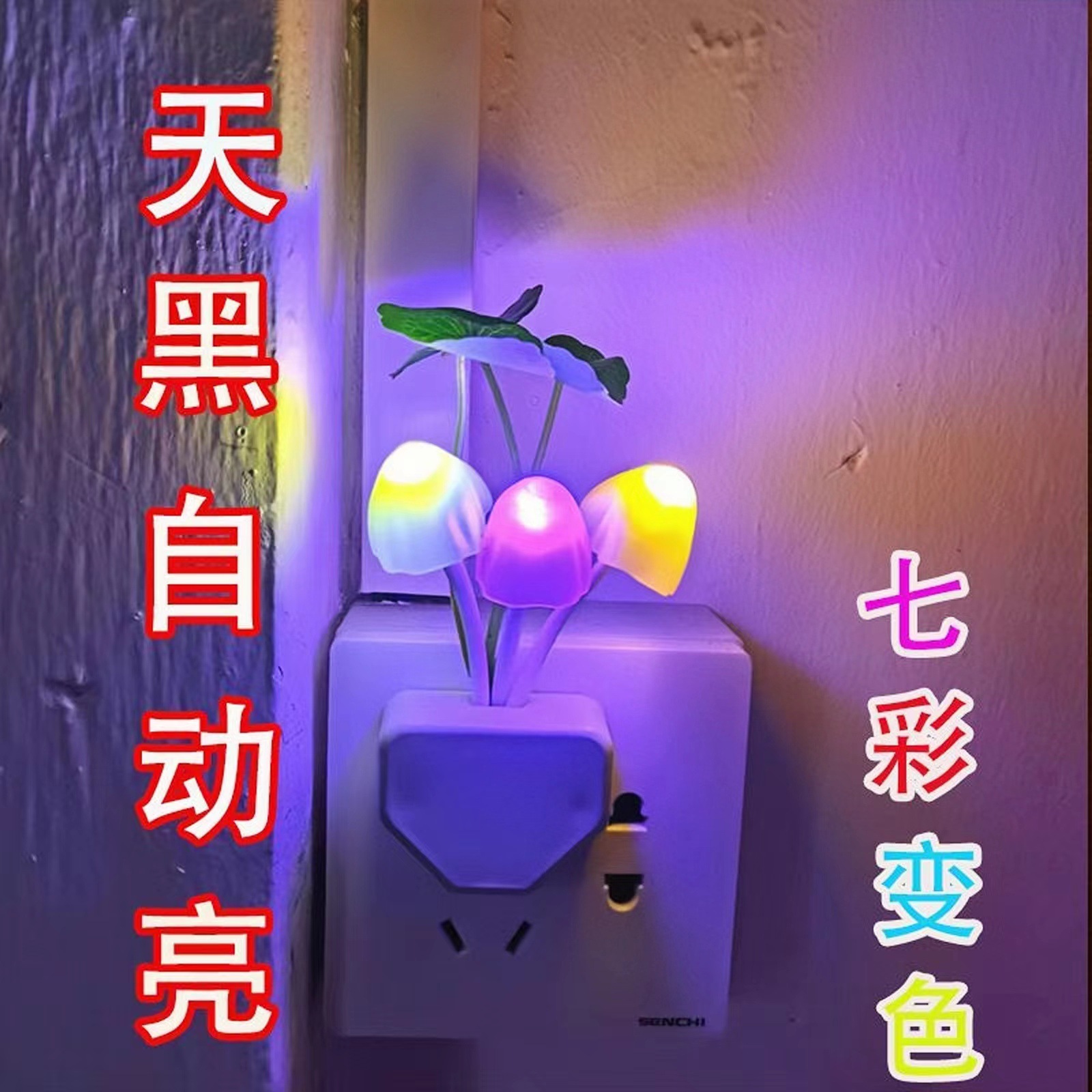 微信图片_20240211184052