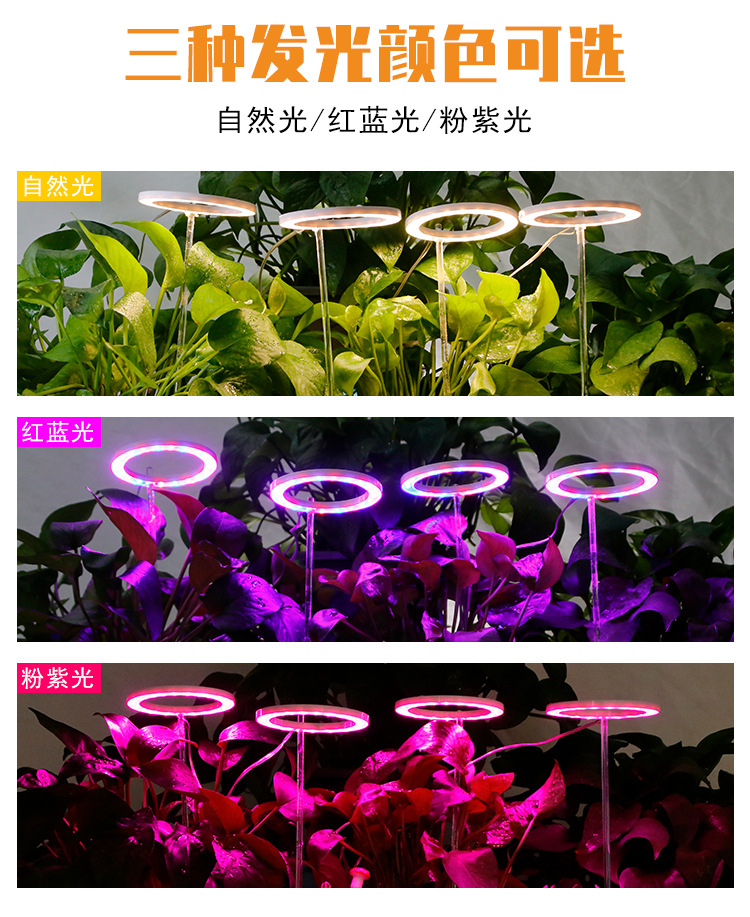 详情页_07.jpg