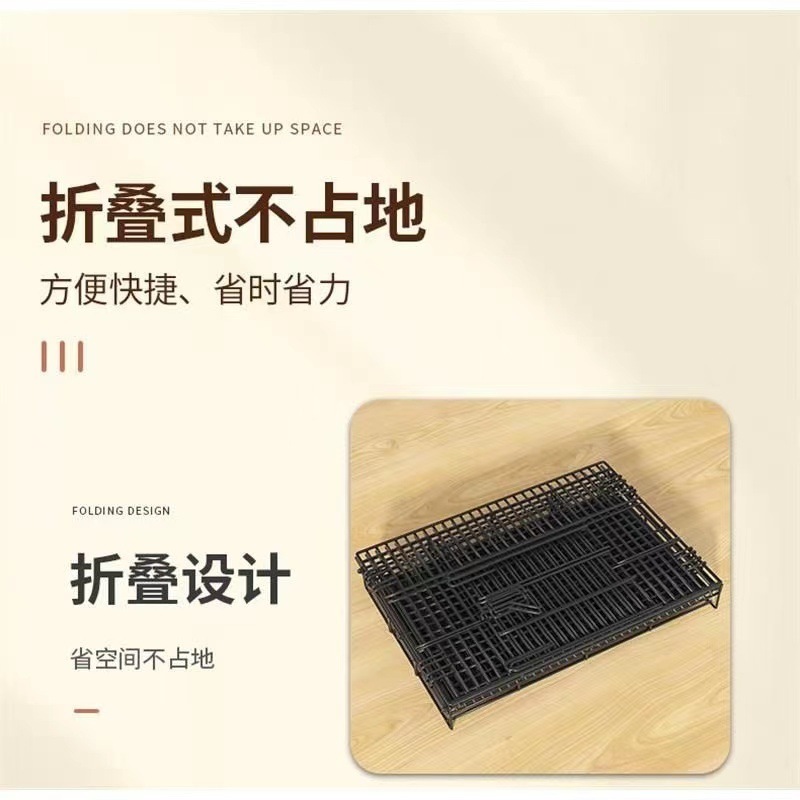 126b9833-8b00-48a8-bb4d-db4a58e9f1ac.jpe