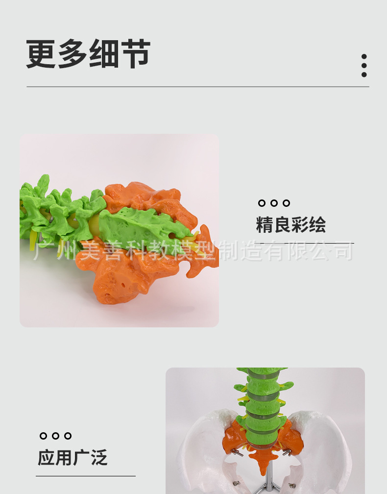 自然大脊柱_07