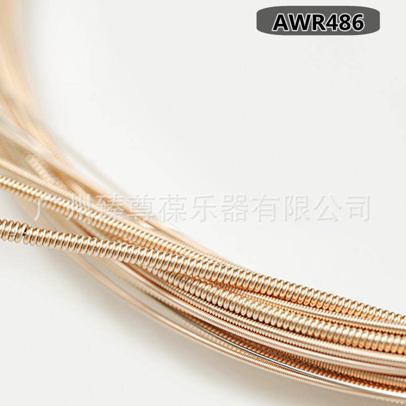 AWR480 486-08.jpg