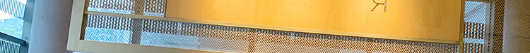 B1287橘红_04.jpg