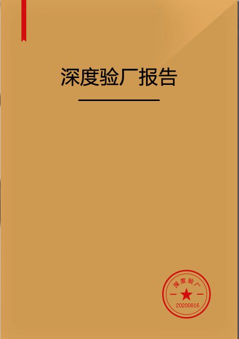 深度验厂报告