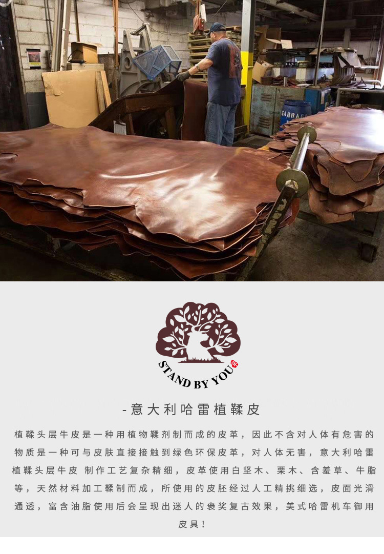 哈雷皮质.JPG