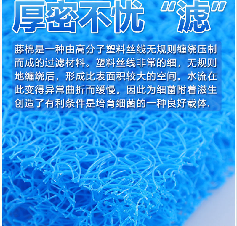 44bcb7e2-f756-4c89-bc66-fac0b998da46.jpe