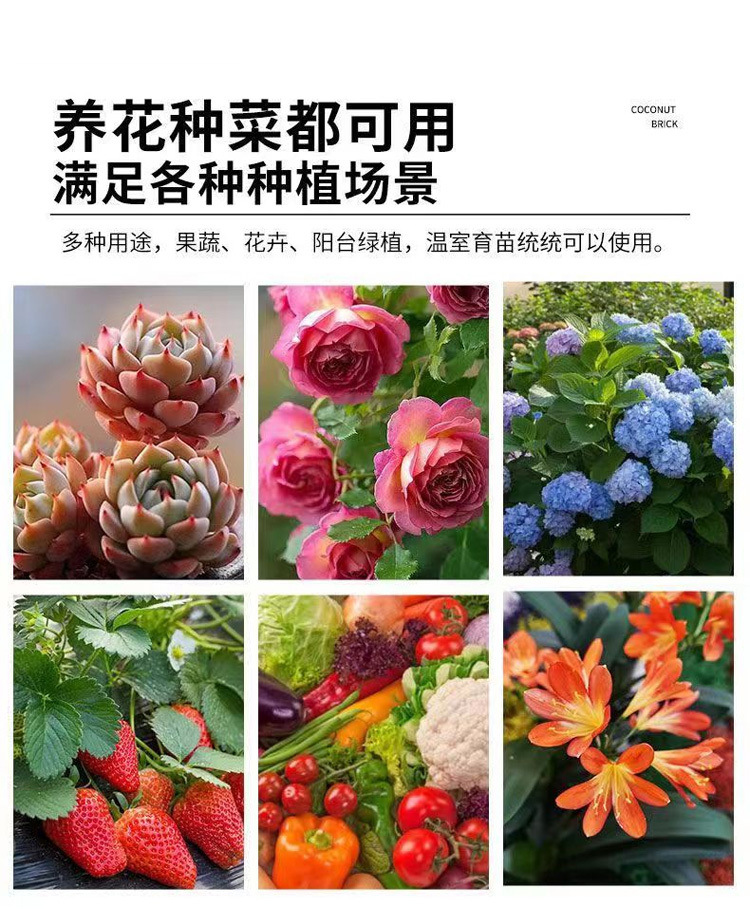 2915b946-07f7-41f0-8cb2-4f6306c6049b.jpe