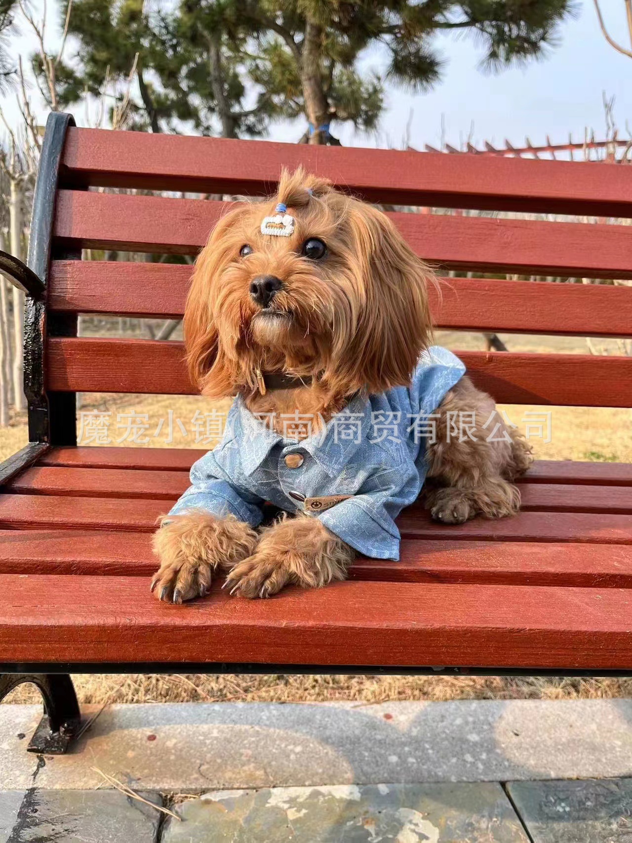 baaa41b99f13ea659a61f7a51c4478