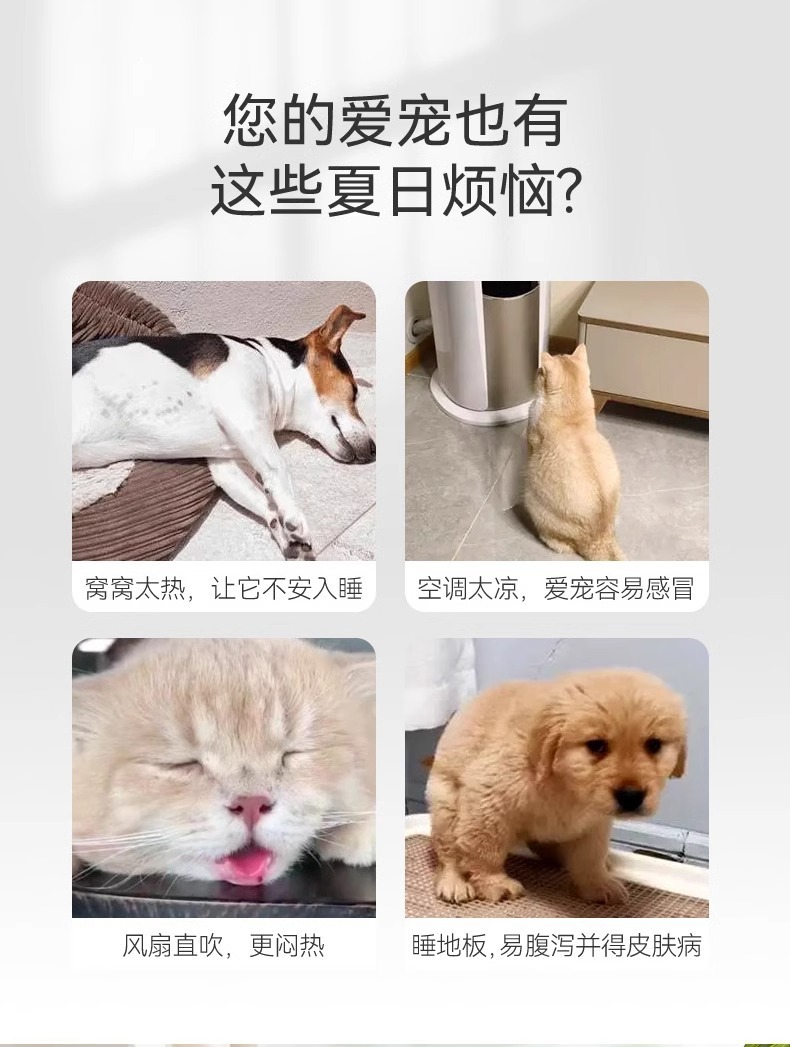 ca395a24-8188-43e7-a60b-a494246e9868.jpe