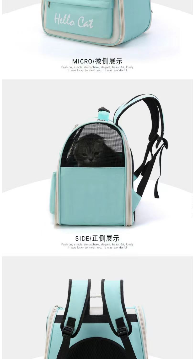 096d310c-78c7-4f14-a845-f05ef4ac133d.jpe