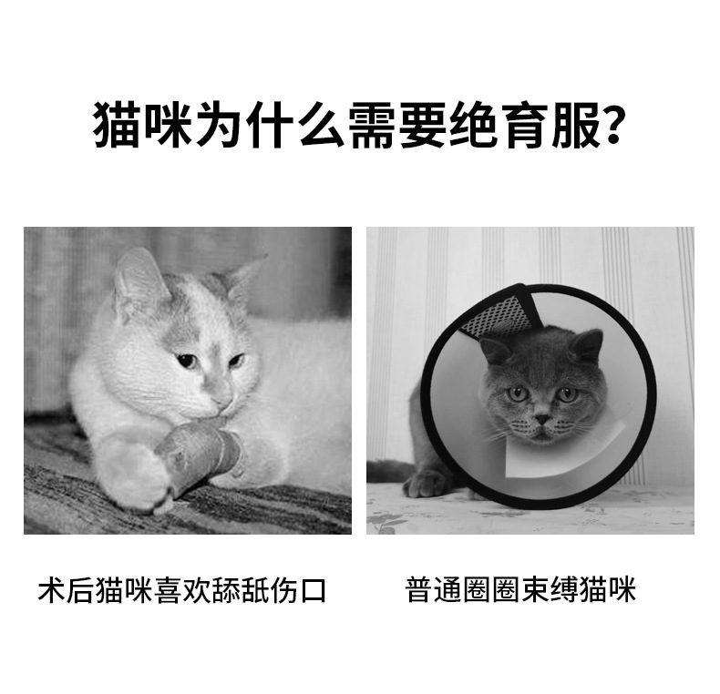 猫咪绝育服_02
