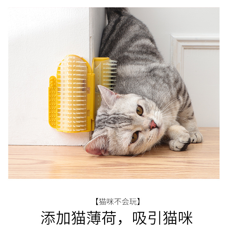 双开蹭毛器 (6)