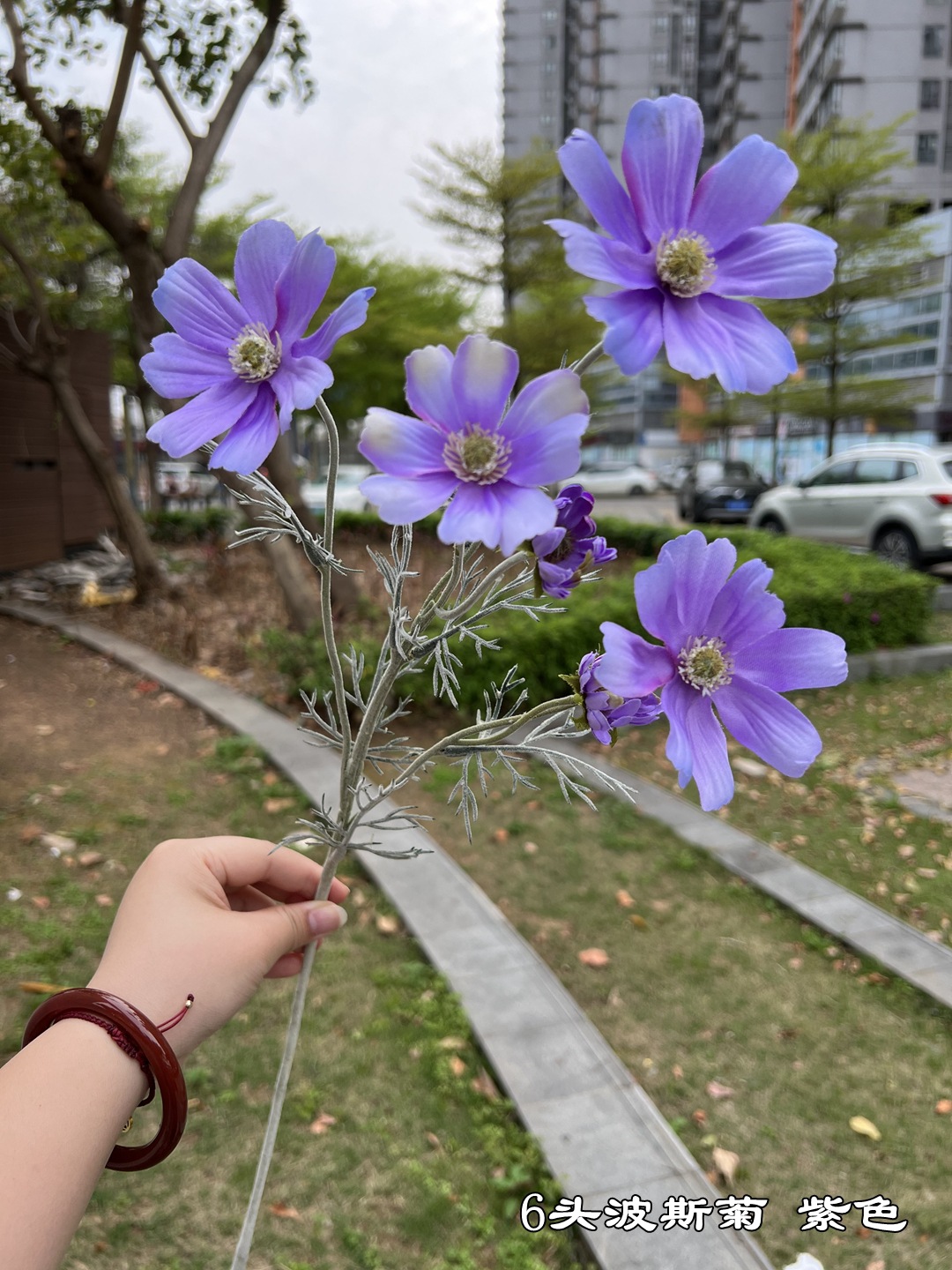 微信图片_20220618155010