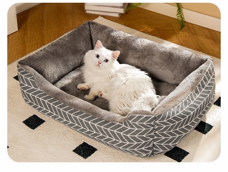 05f65c75-a184-4659-9179-b64e9c58f442.jpe