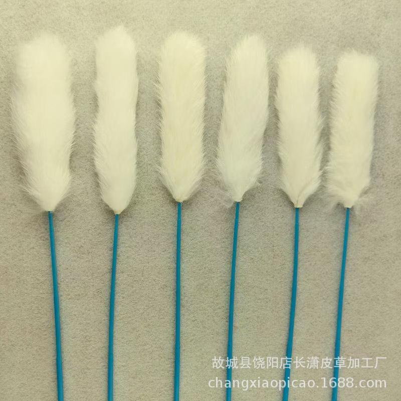 1c73c592613005b73d11d5169d73b4