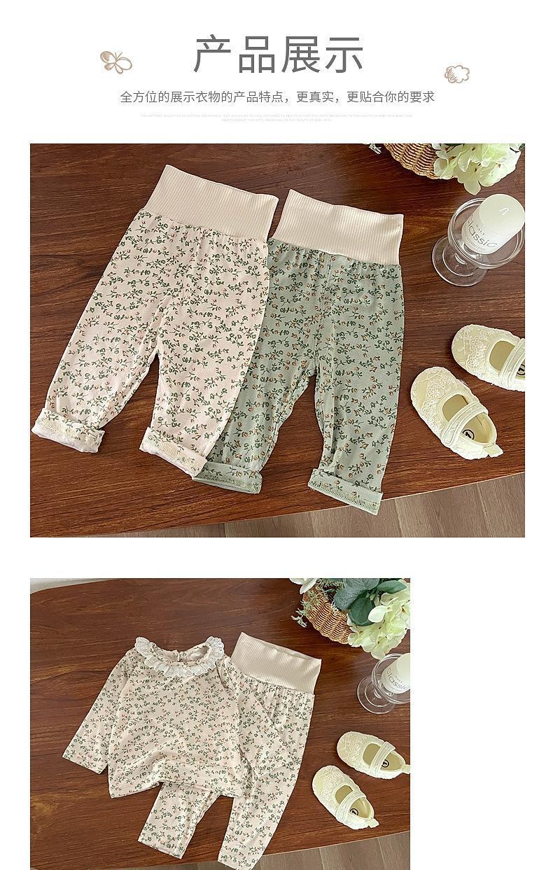 a8d9a926-a09f-4cdc-a1ad-67c5f60af820.jpe