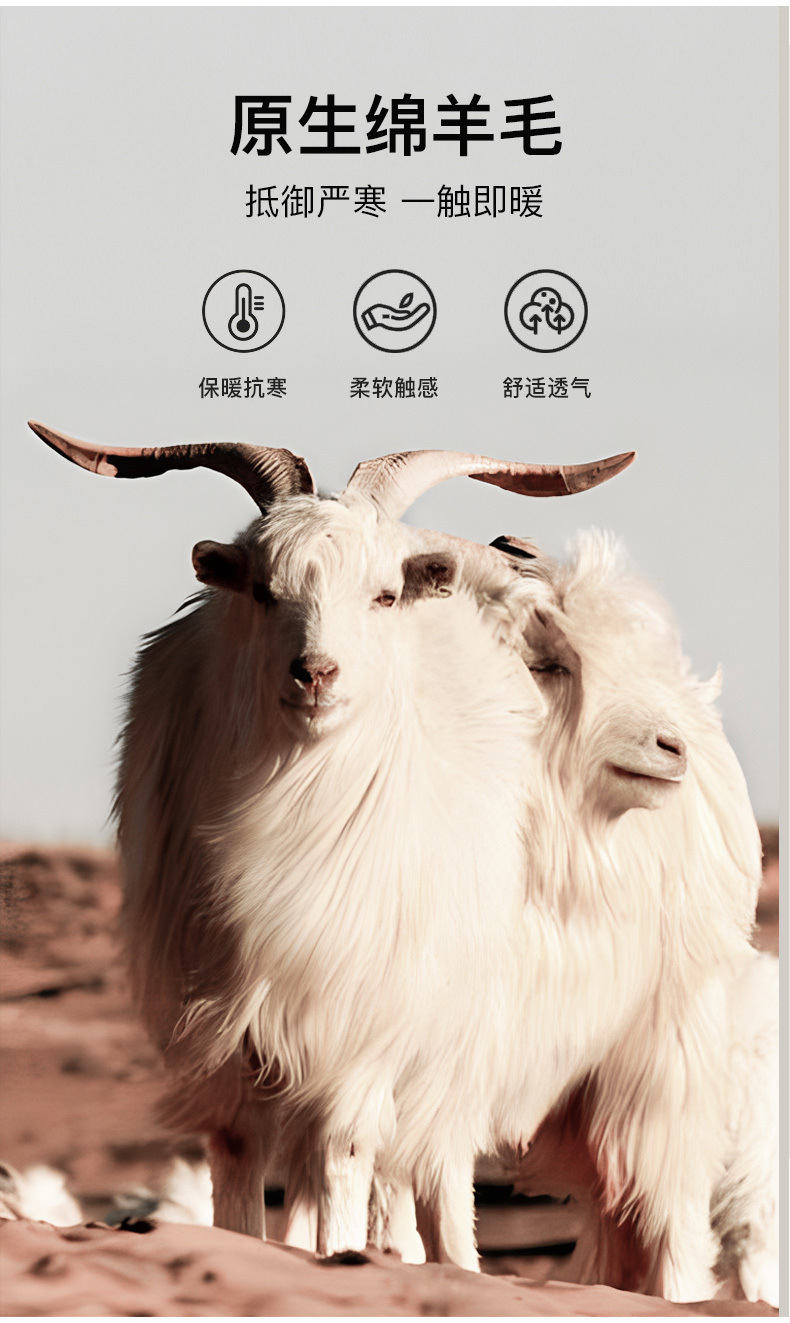 0ca53685-e14b-4717-86c0-9dffee43bc3c.jpe